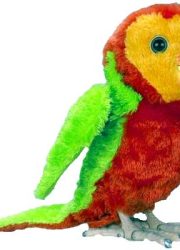 carlito-mio-amico-pappagallo