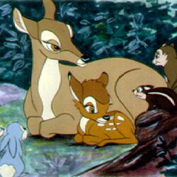 Cartone Animato Bambi