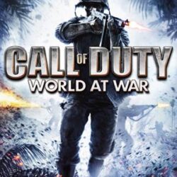 Gioco per PC: CALL OF DUTY: WORLD AT WAR