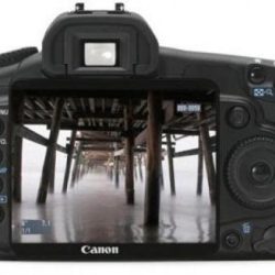 Fotocamera: Canon EOS 40 D, l’ideale per la foto perfetta.