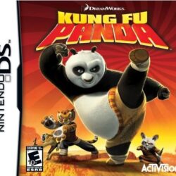 Gioco per Nintendo DS: KUNG FU PANDA