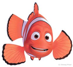 Scopri di più sull'articolo Cartone Animato Alla ricerca di Nemo
