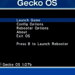 Nintendo Wii Trucchi: Guida per far funzionare il Geko OS in maniera corretta