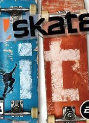 skate-it-ds